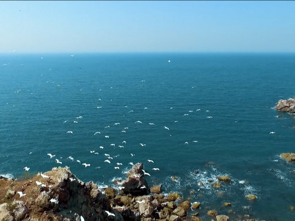 В гнезде и за его пределами