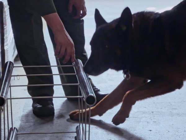 Стоп! Пограничный контроль