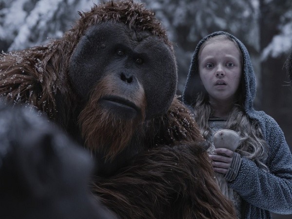 Планета обезьян: Война (5)