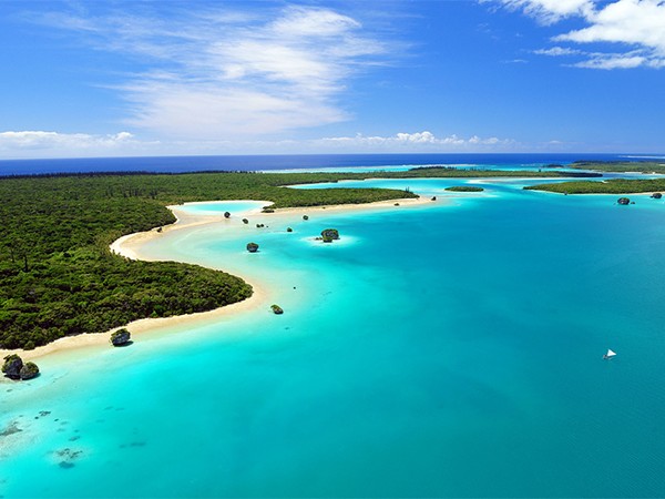 Островные деликатесы