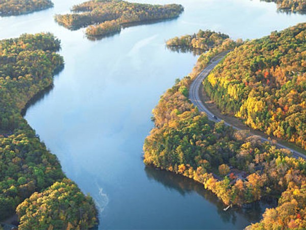 Серая борода. Легенда Миссисипи