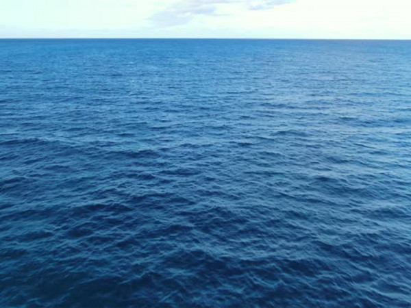 Любовь к морю