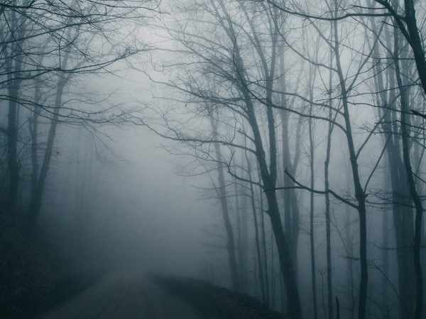 Тайны во тьме