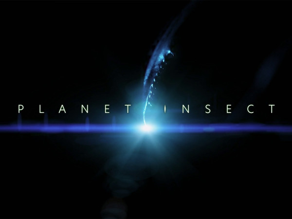 Планета насекомых