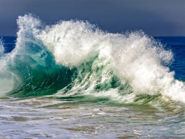 Курс на волну (2)