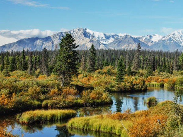 Вниз По Дикому Юкону