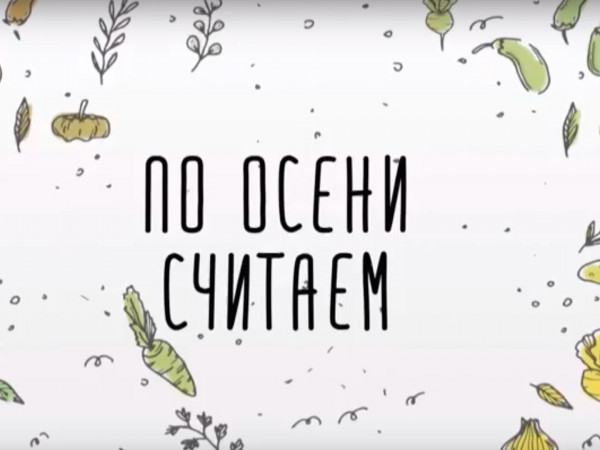 По осени считаем...