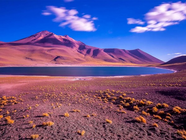 Атакамский забег