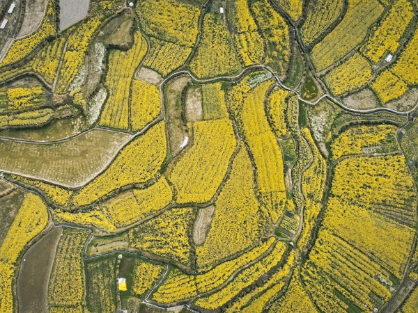 Китай с высоты птичьего полета (2)