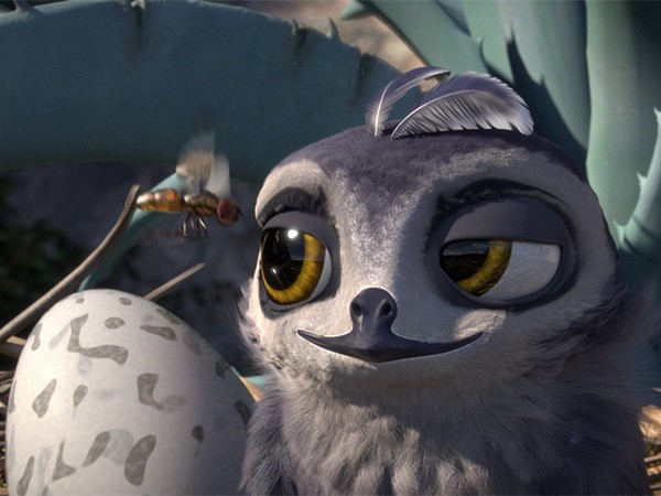 Птичий дозор