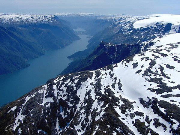 Дикая природа Скандинавии