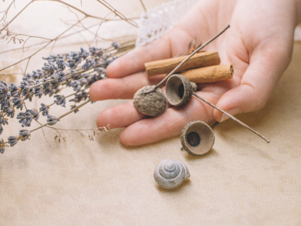 Мастерята: изучаем разные профессии