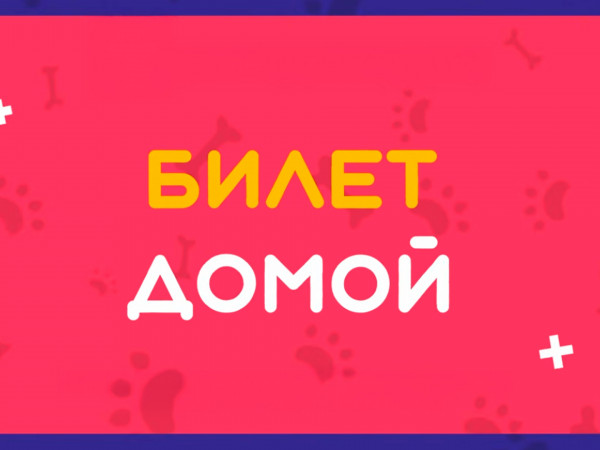 Билет домой (2)