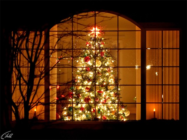 Елочка, гори!