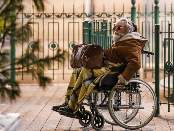 Ёлки-иголки (2)