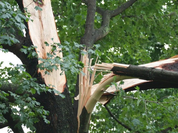 Как починить природу