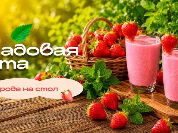 Кладовая лета с Аппетитным. С огорода — на стол