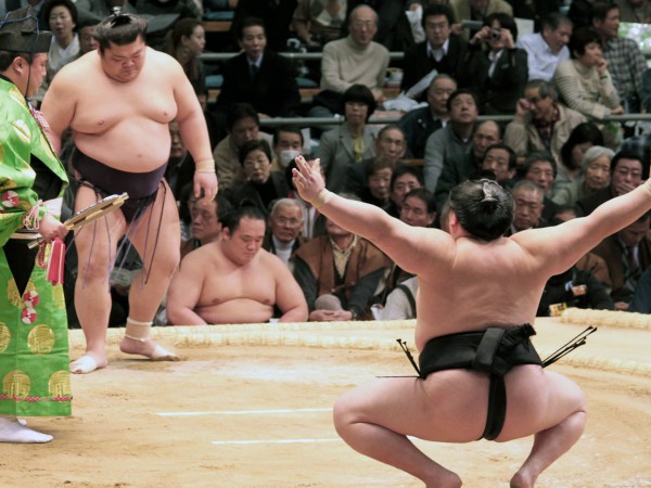 Сумо. Чемпионат России по сумо