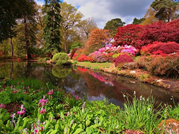 Невероятный сад