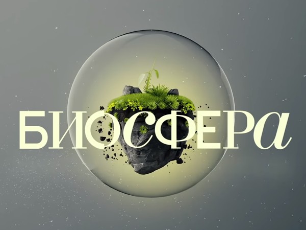 Биосфера. Законы жизни