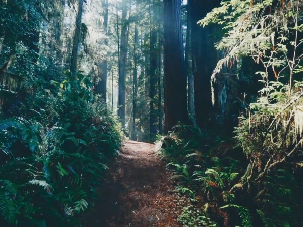 Мир безмятежности (2)