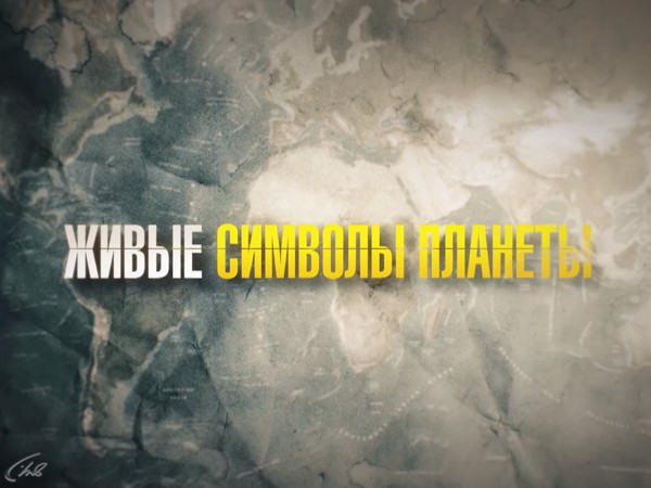 Живые символы планеты