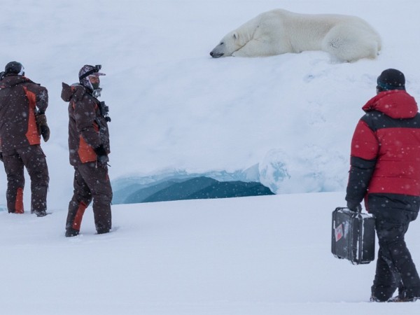 Русская Арктика. Великий Северный путь
