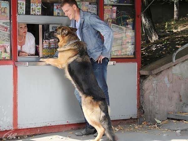 Возвращение Мухтара