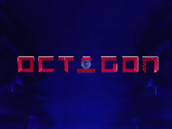 Шоу Octagon 73 (MMA, профессионалы)