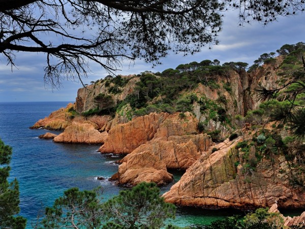 Дикая природа Испании (2)