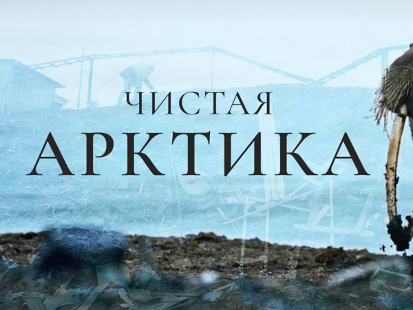 Чистая Арктика