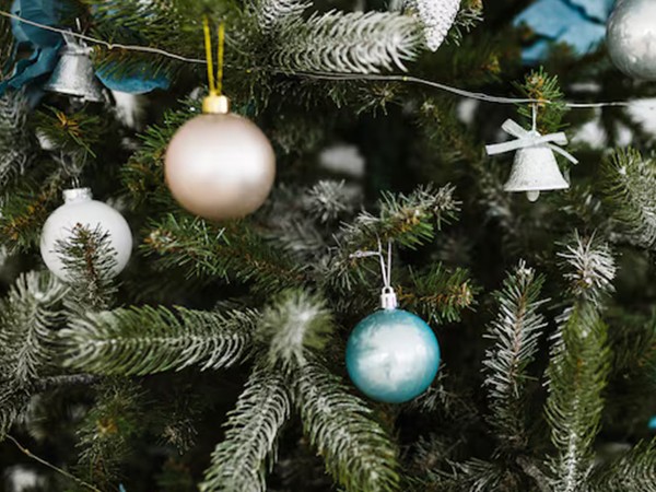 Поздравление мэра Москвы С. С. Собянина с Новым 2026 годом