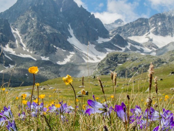 Сели и поехали