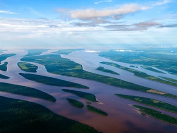 В поисках Эссекибо