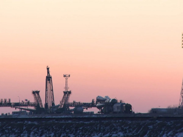 Спутник жизни