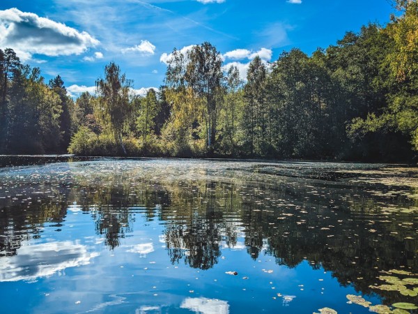 Тайны Керженского заповедника