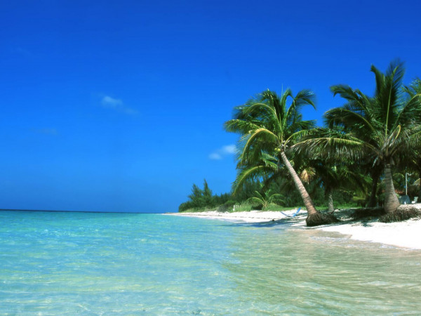 Куба: остров жизни (2)