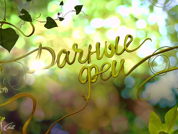 Дачные феи встречают Новый год