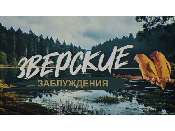 Зверские заблуждения