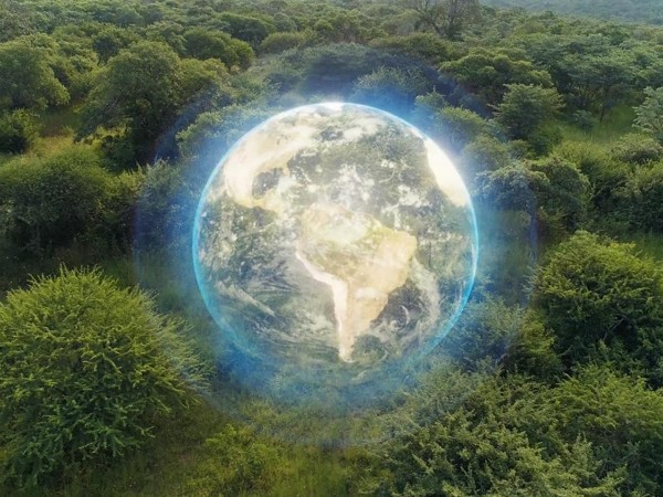 Земля: Симфония жизни