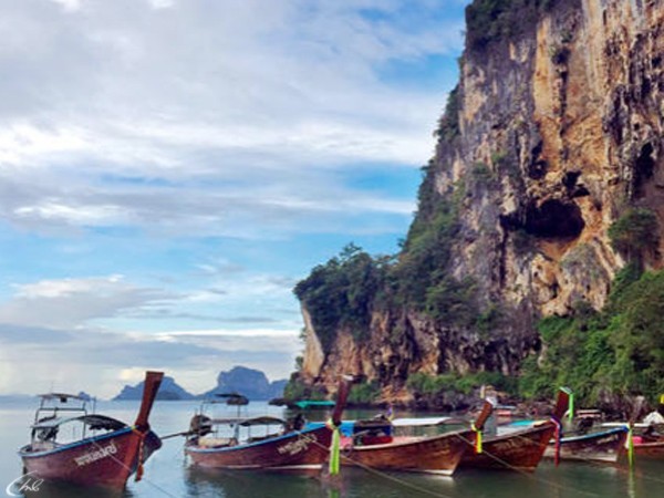 Дикий Таиланд (2)