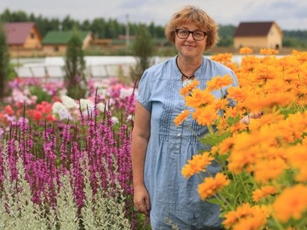 Современный огород