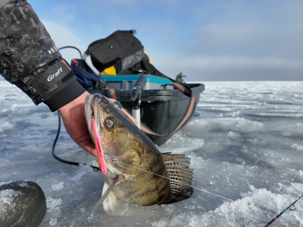 Тайны Волгоградского водохранилища (2)