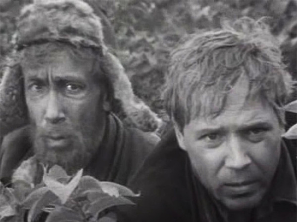 Волчья стая