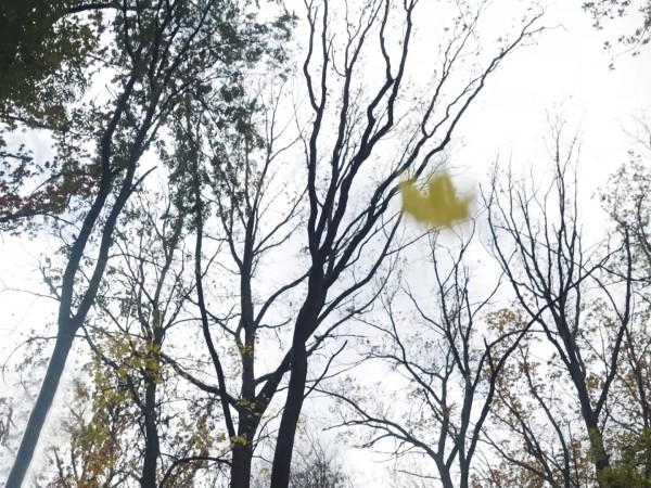 Я приближаю победу