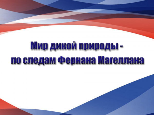 Мир дикой природы — по следам Фернана Магеллана (2)