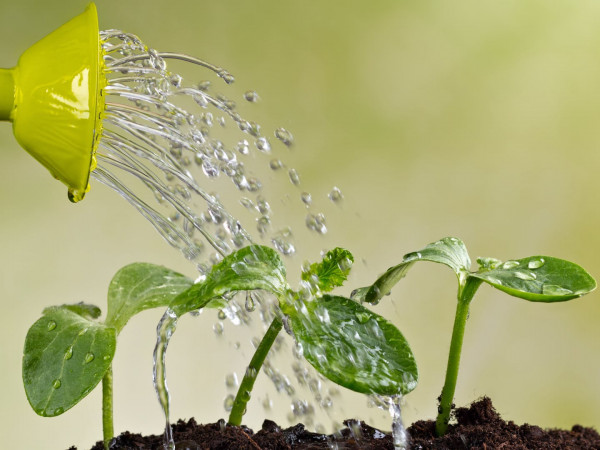 Весенние работы с Мариной Рыкалиной