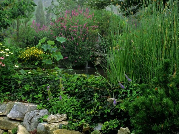 Не райская жизнь райского сада