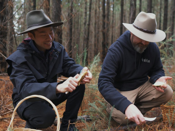 Как выращивают еду