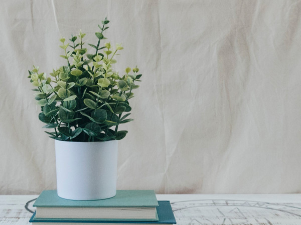 Жизнь в деревне